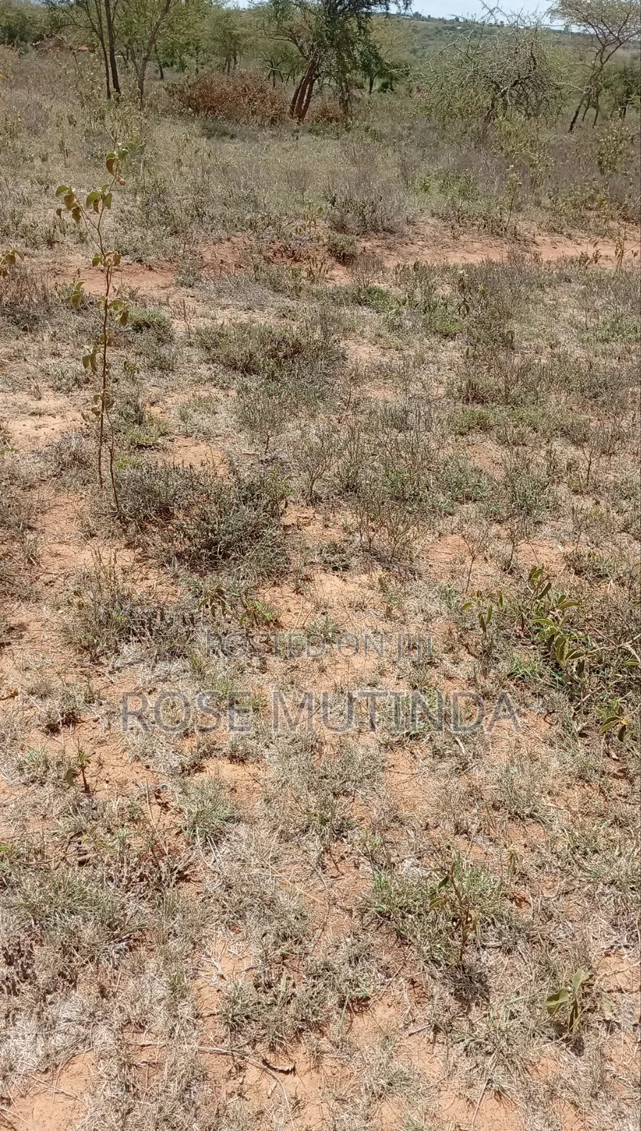 2acres at Koma in Komarock