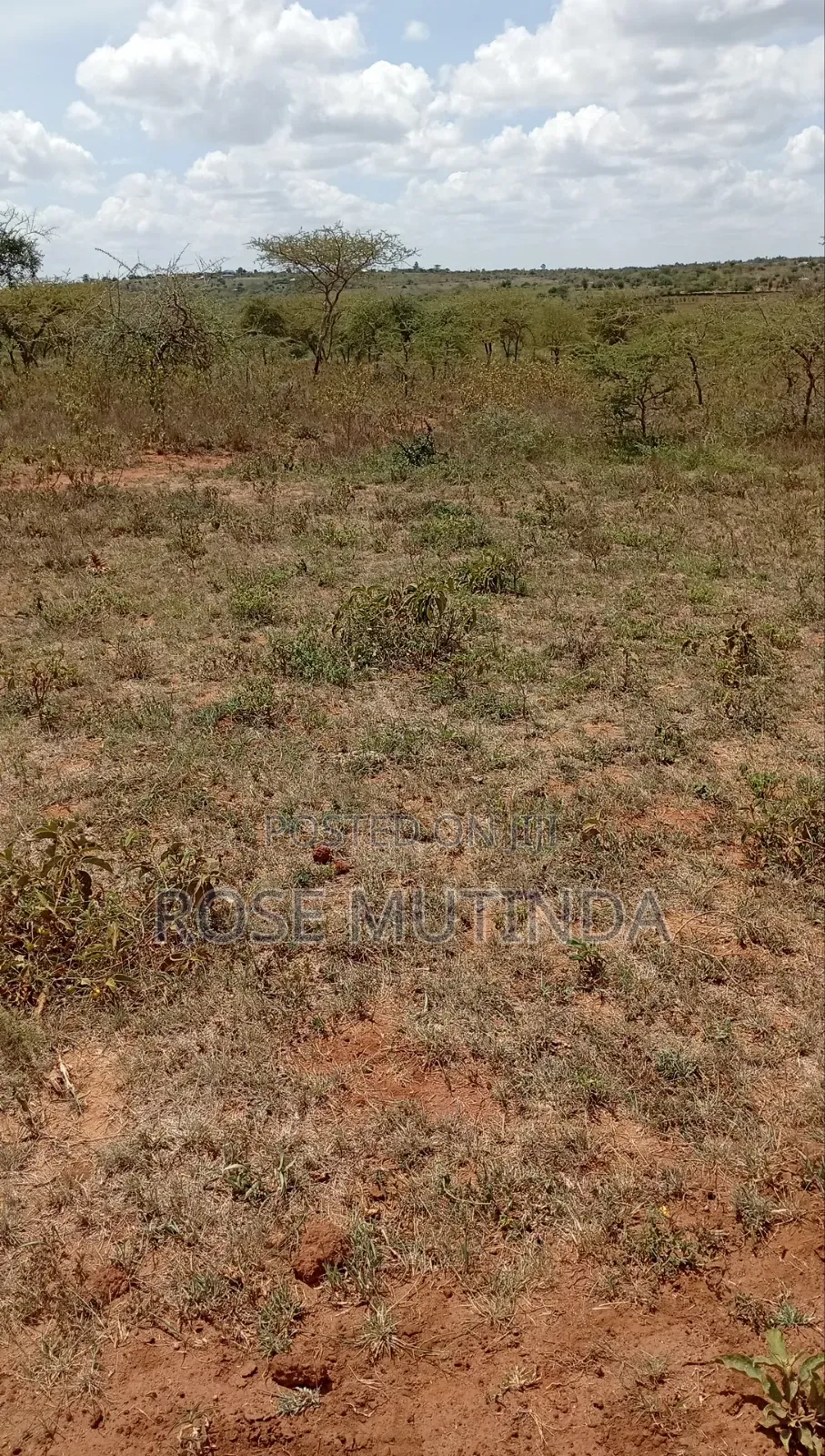 2acres at Koma in Komarock