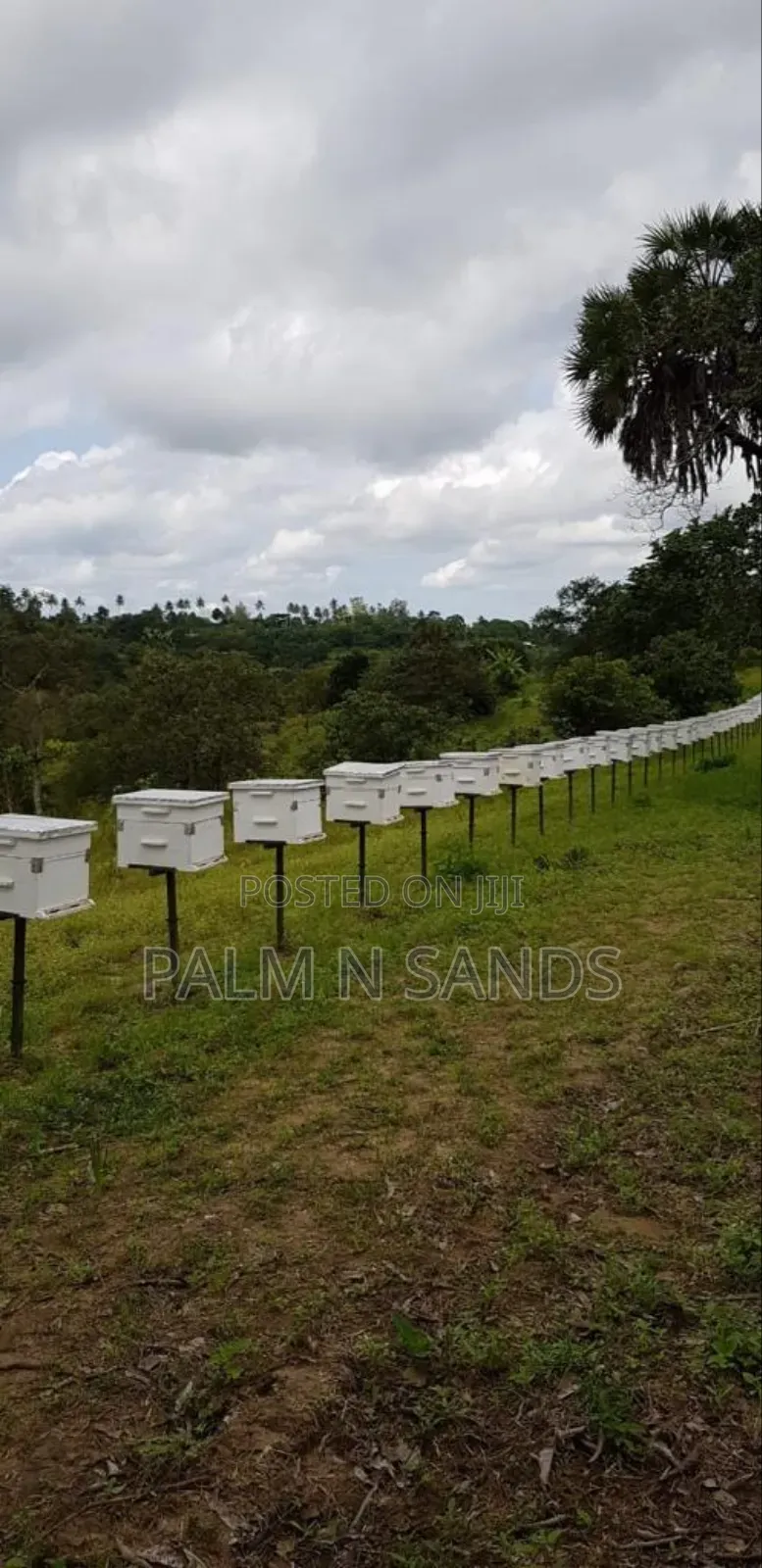 Shimbahills 31 Acre Farm on Sale in Kubo South