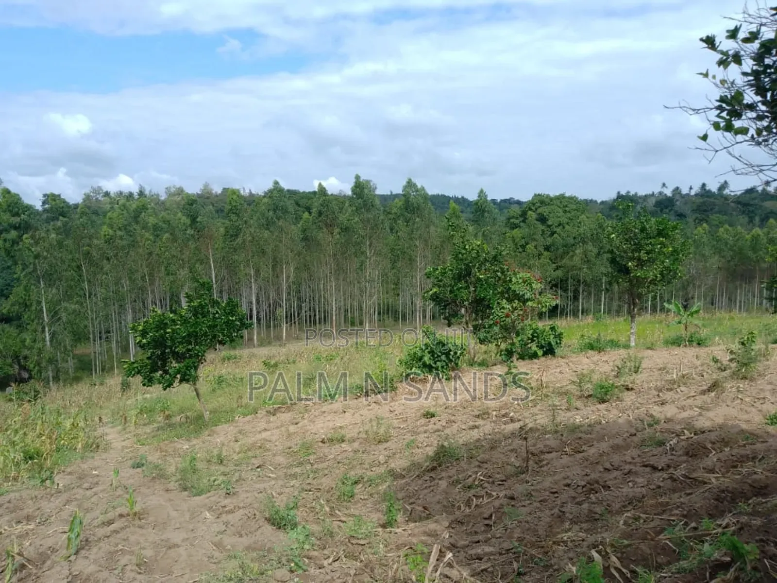 Shimbahills 31 Acre Farm on Sale in Kubo South