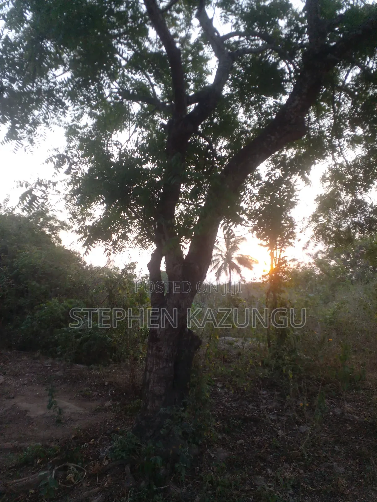 1 Acre Plot on Sale 400 Metres From the Beach in Kombani. in Ukunda