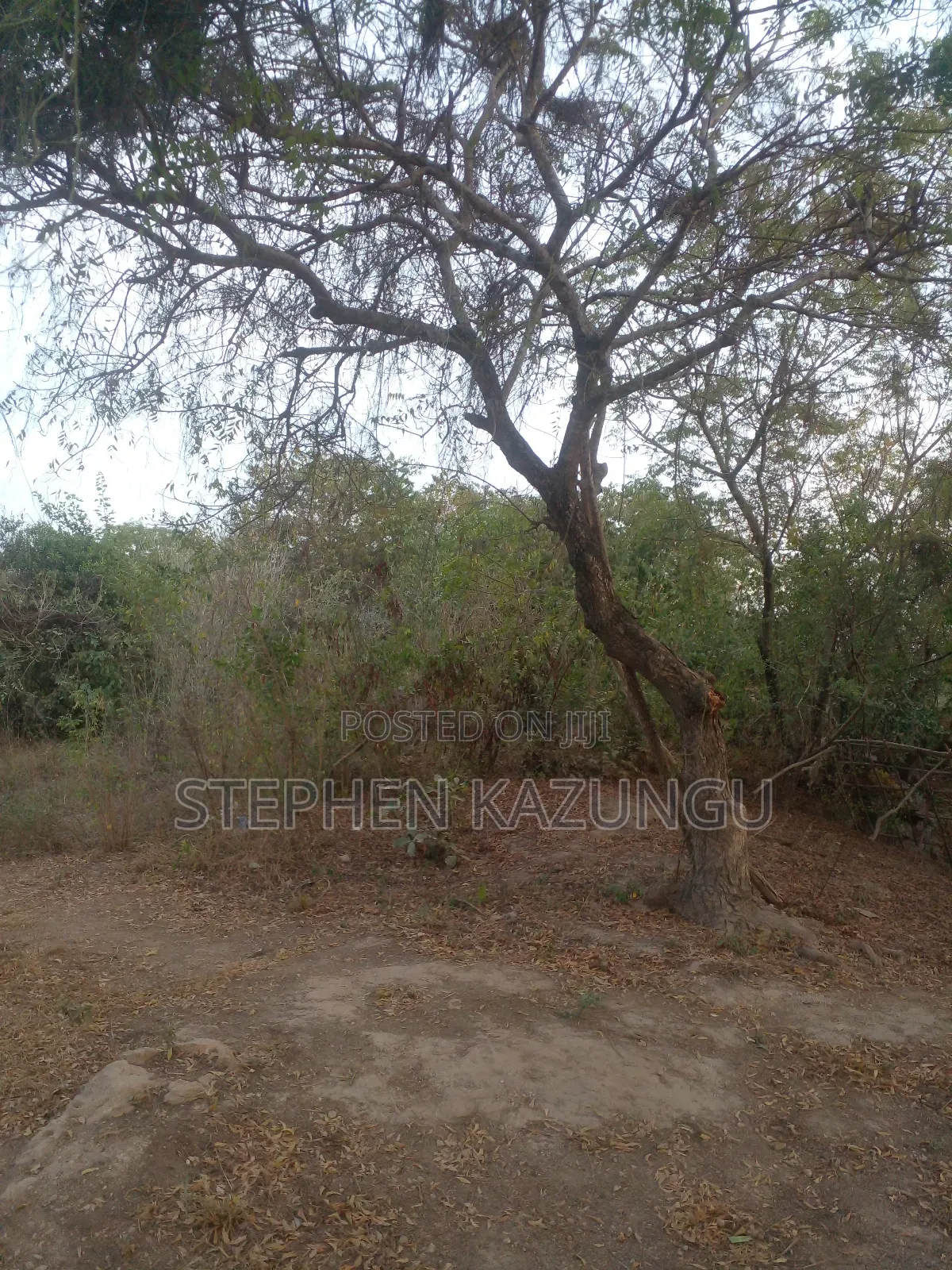 1 Acre Plot on Sale 400 Metres From the Beach in Kombani. in Ukunda