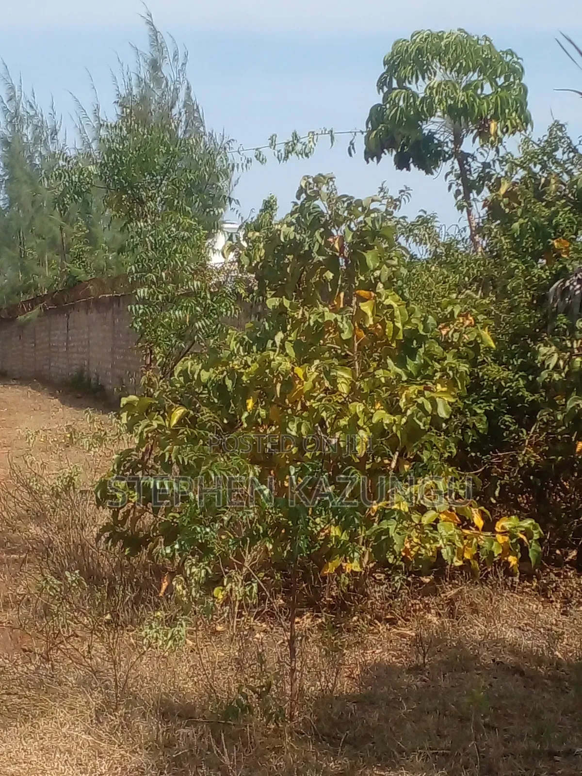 1/2 Acre Plot on Sale in Kinondo Beach Side Zone in Ukunda