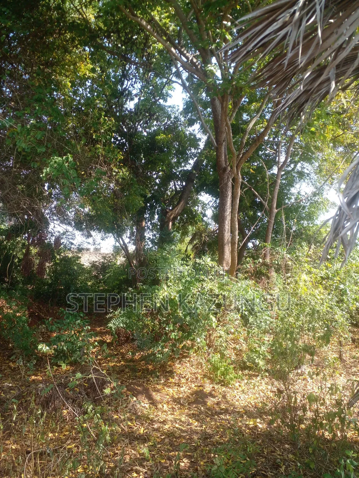 1/2 Acre Plot on Sale in Kinondo Beach Side Zone in Ukunda