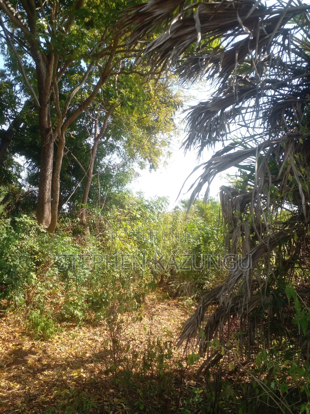 1/2 Acre Plot on Sale in Kinondo Beach Side Zone in Ukunda
