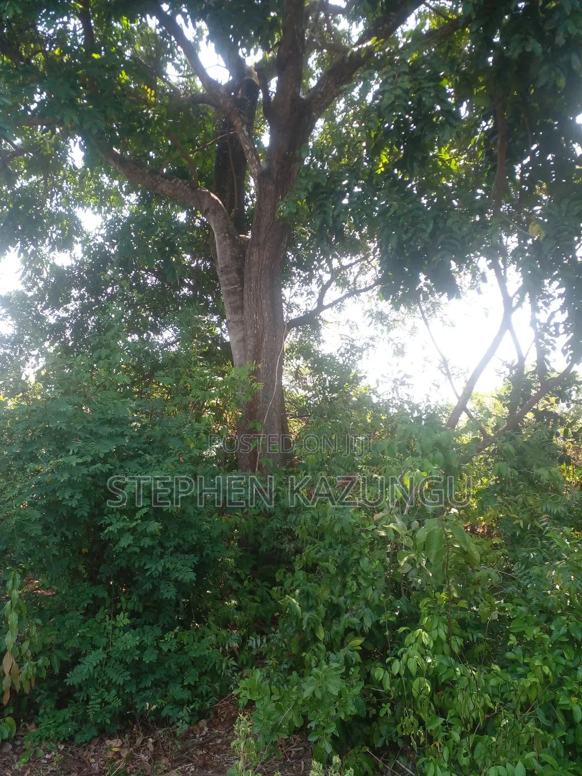 1/2 Acre Plot on Sale in Kinondo Beach Wing in Ukunda