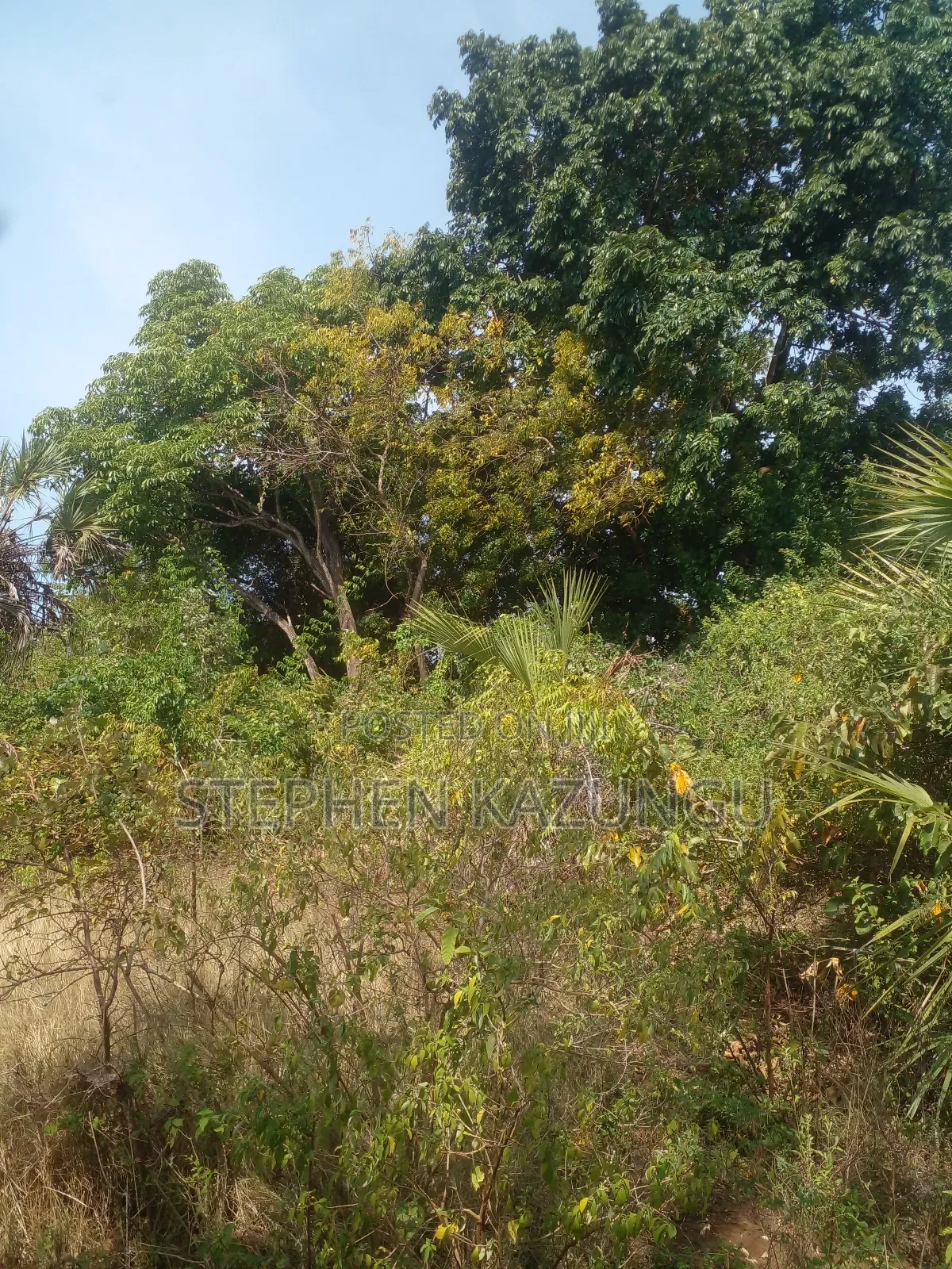 1/2 Acre Plot on Sale in Kinondo Beach Wing in Ukunda