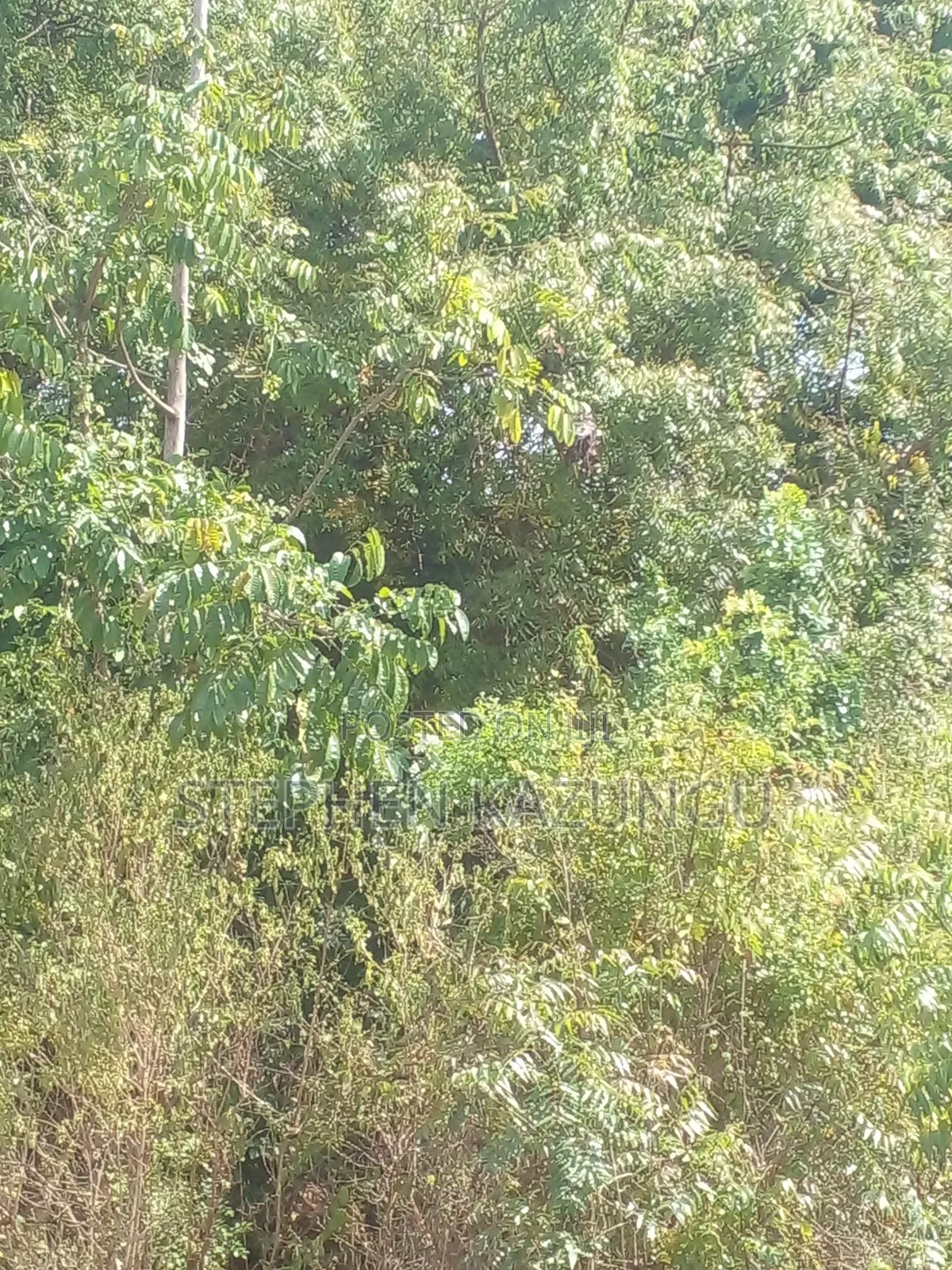 1/2 Acre Plot on Sale in Kinondo Beach Wing in Ukunda
