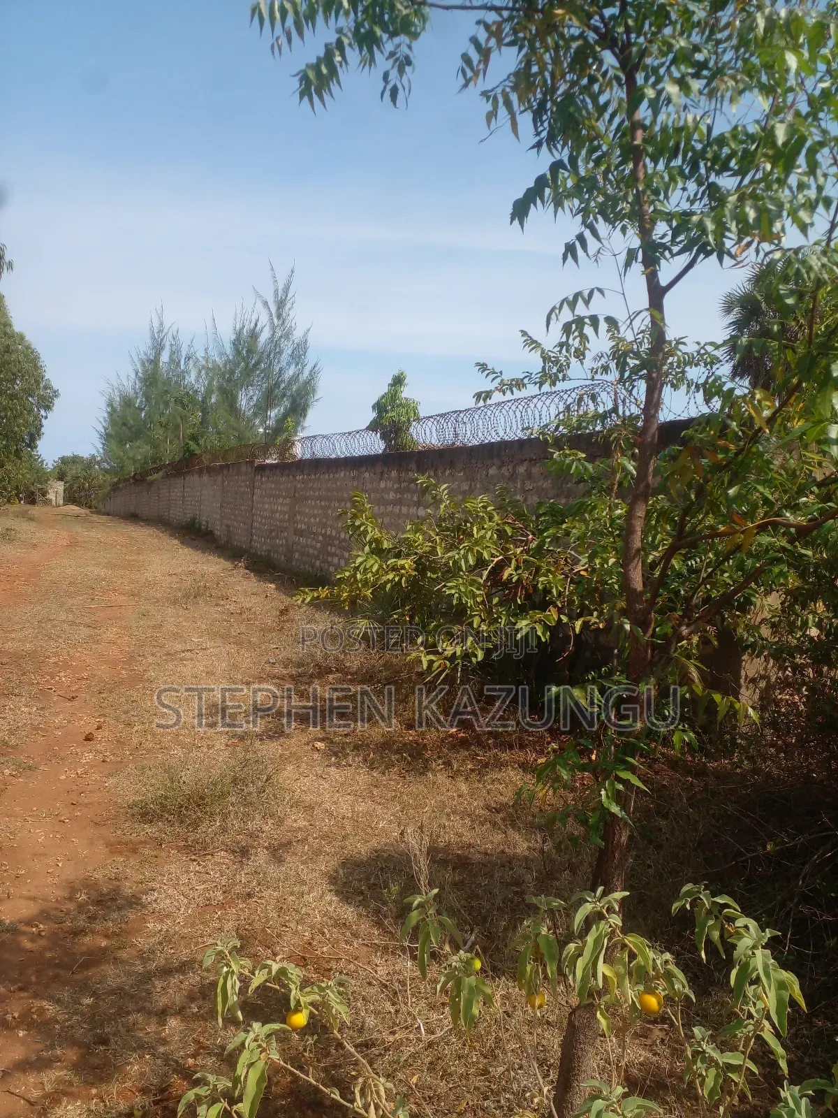 1/2 Acre Treasure Plot on Sale in Kinondo Beach Side in Ukunda