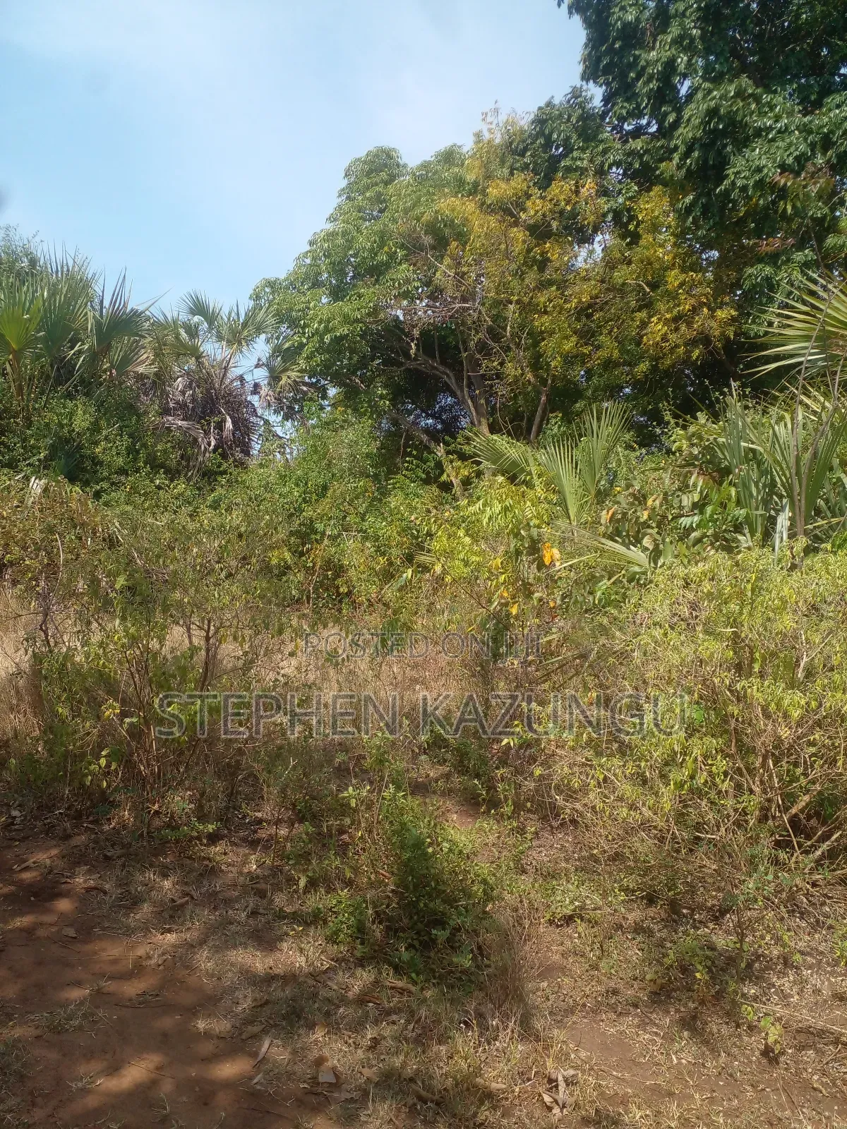 1/2 Acre Treasure Plot on Sale in Kinondo Beach Side in Ukunda