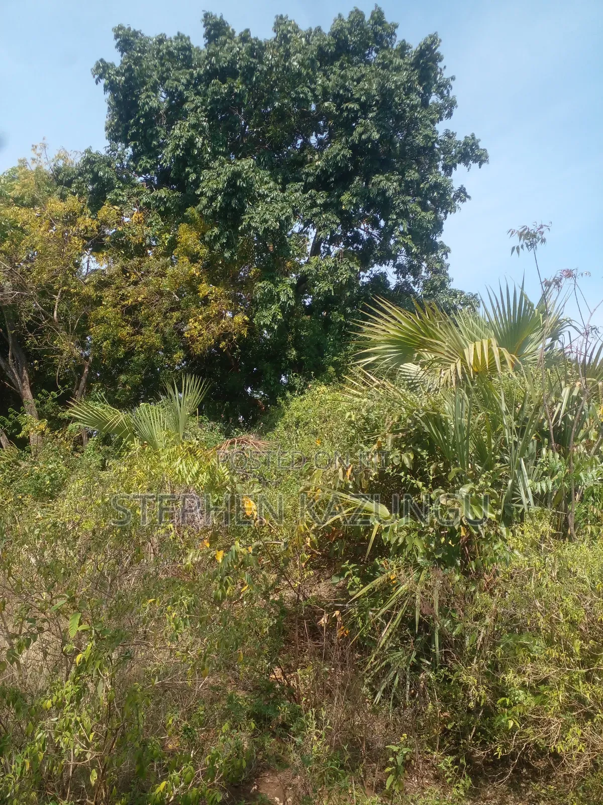1/2 Acre Treasure Plot on Sale in Kinondo Beach Side in Ukunda