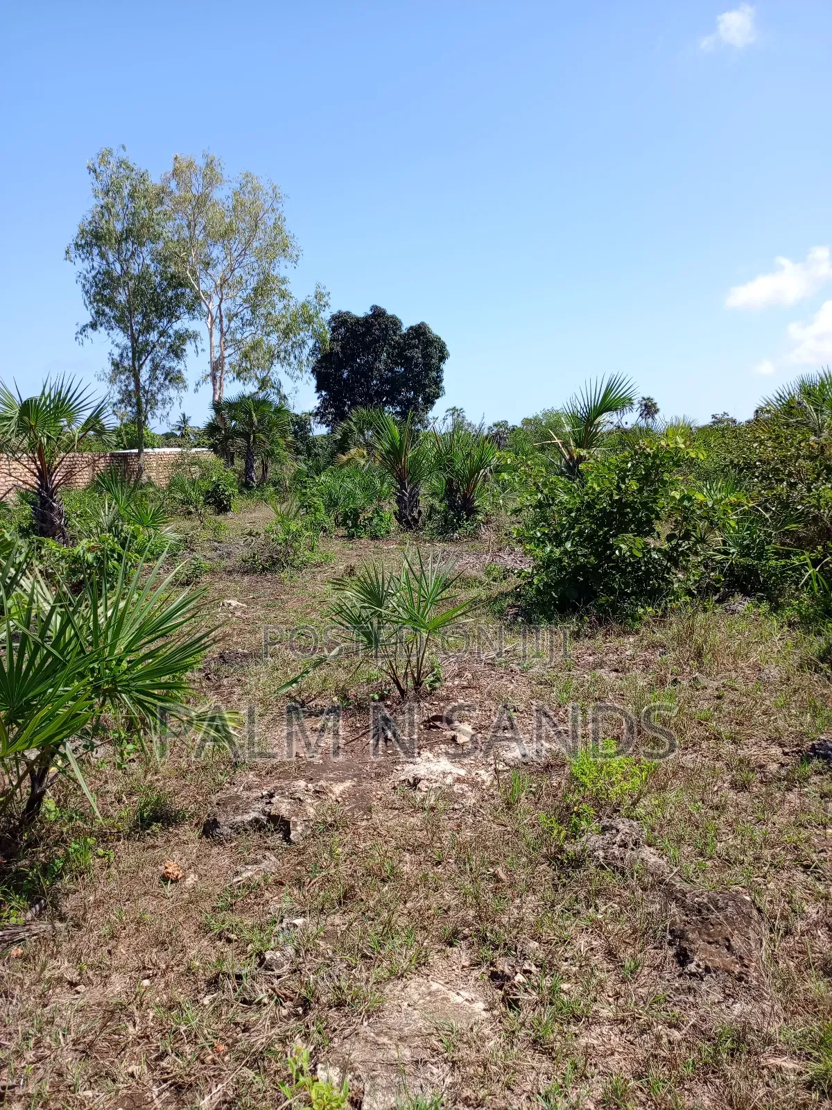 3 Acres in Galu Diani on Sale in Diani
