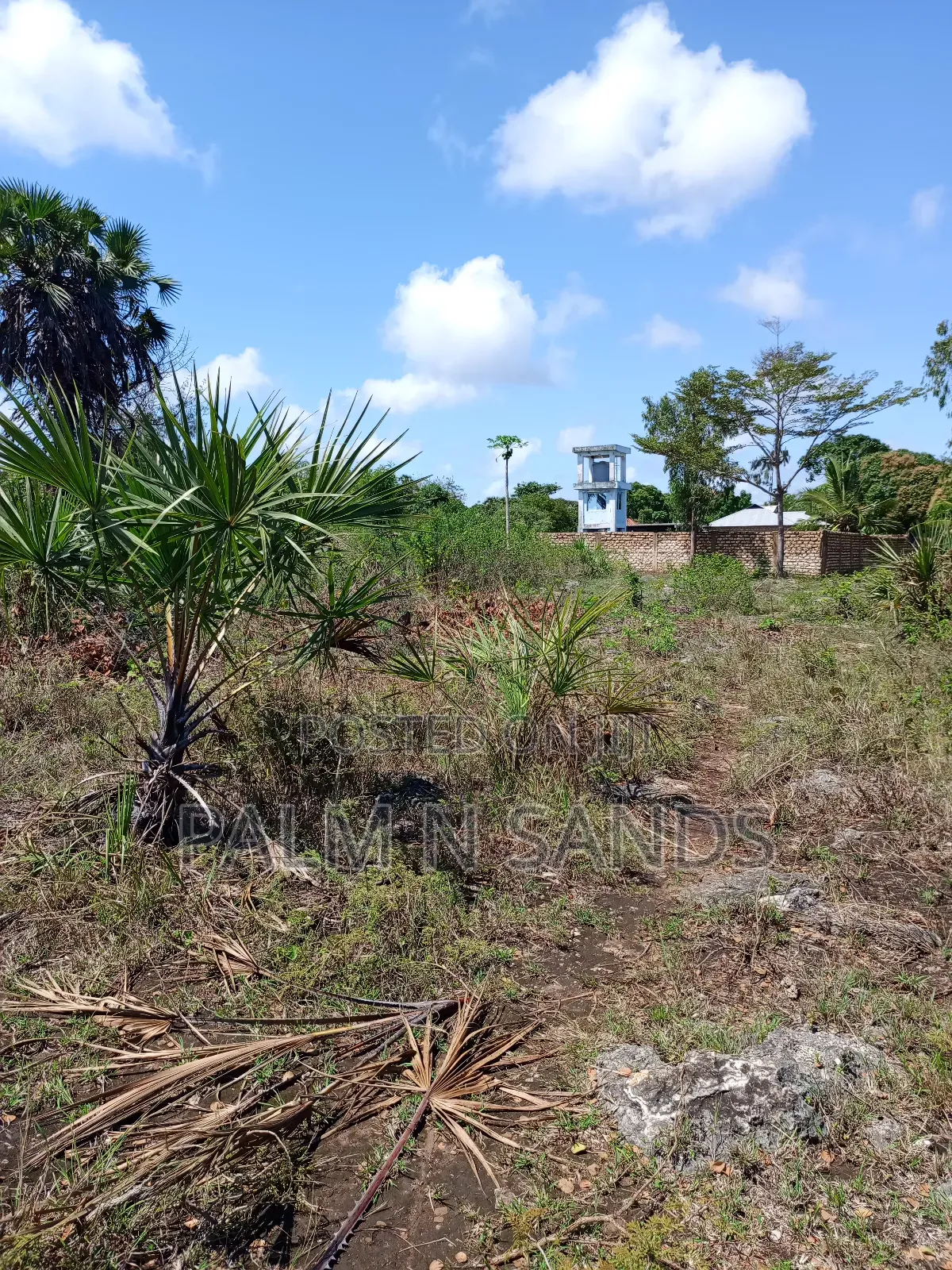 3 Acres in Galu Diani on Sale in Diani