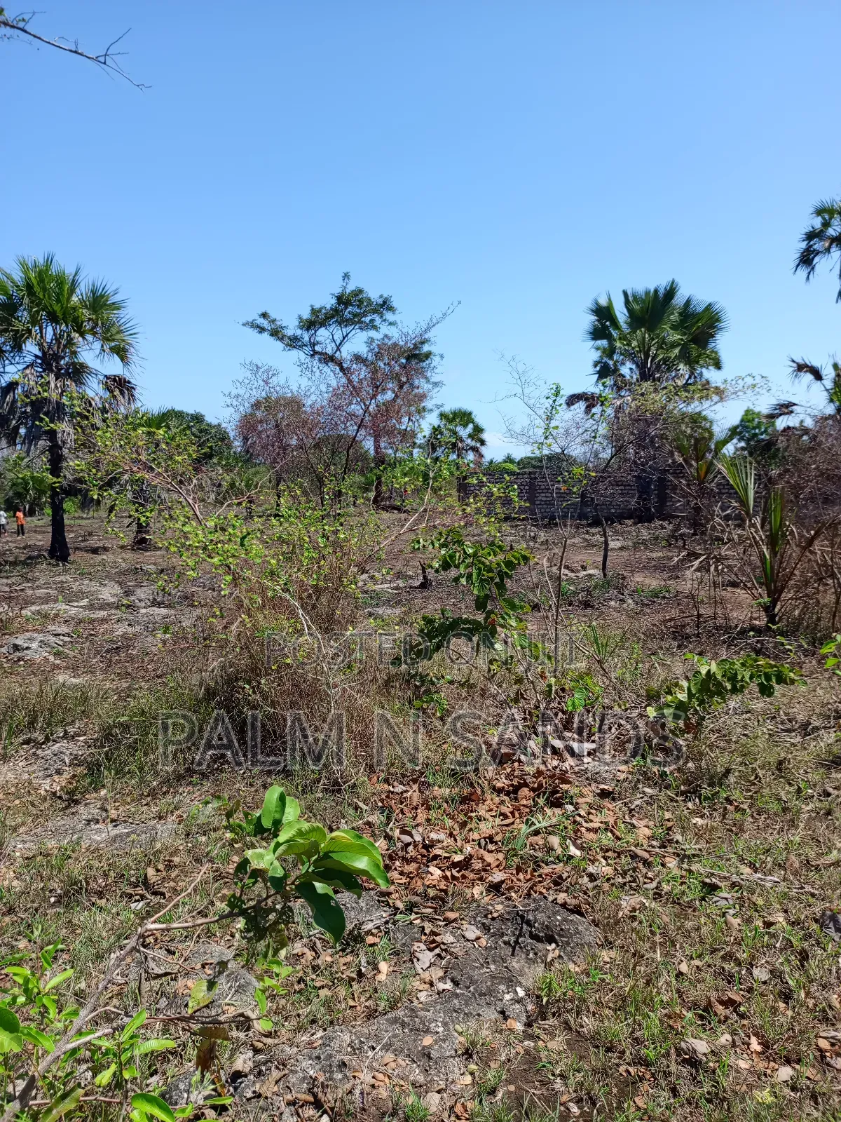 3 Acres in Galu Diani on Sale in Diani