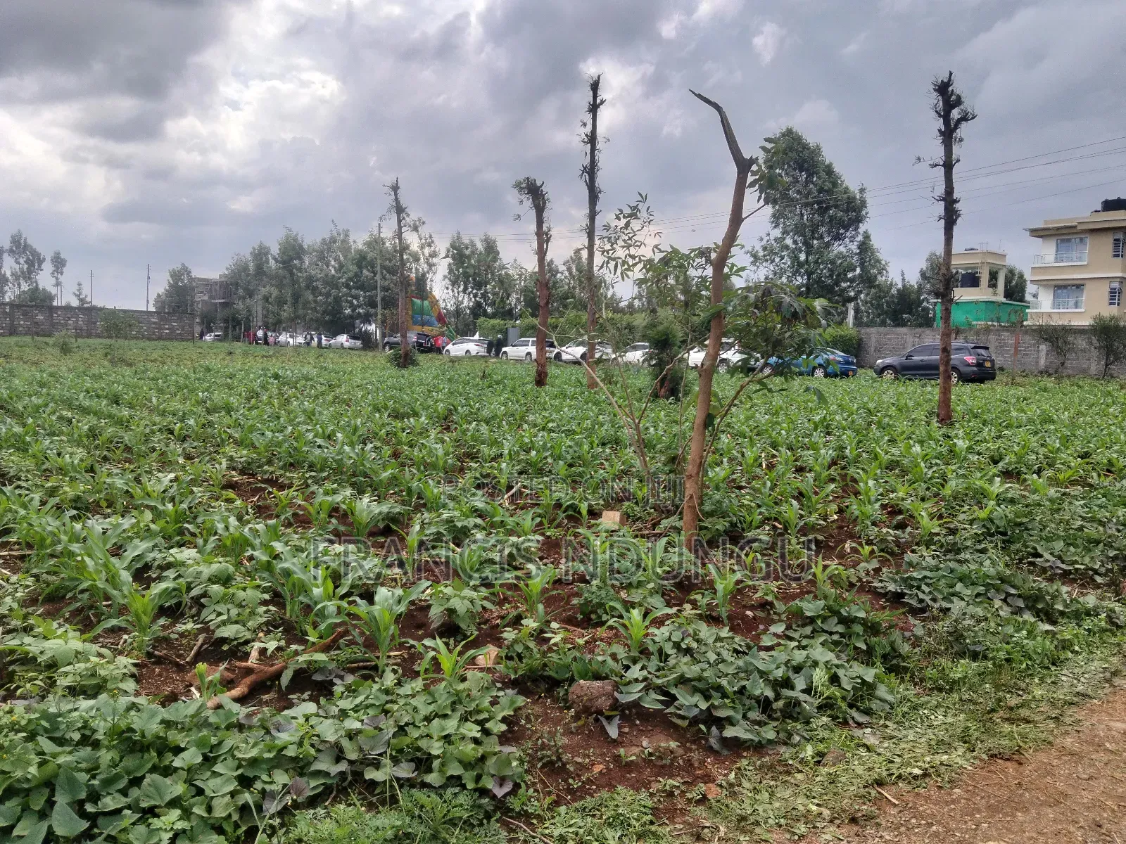 Residential Plots Near Kirigiti Kiambu in Kiambu / Kiambu