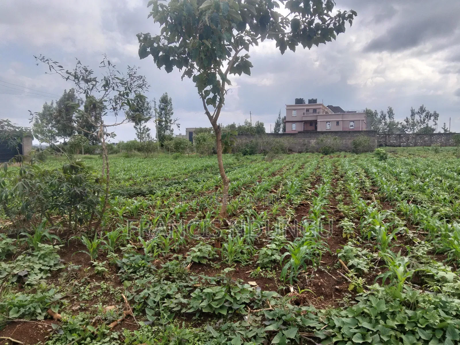 Residential Plots Near Kirigiti Kiambu in Kiambu / Kiambu
