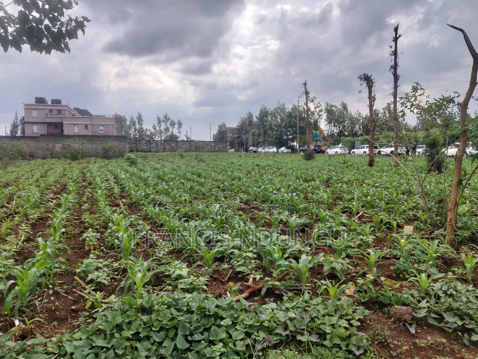 Residential Plots Near Kirigiti Kiambu in Kiambu / Kiambu