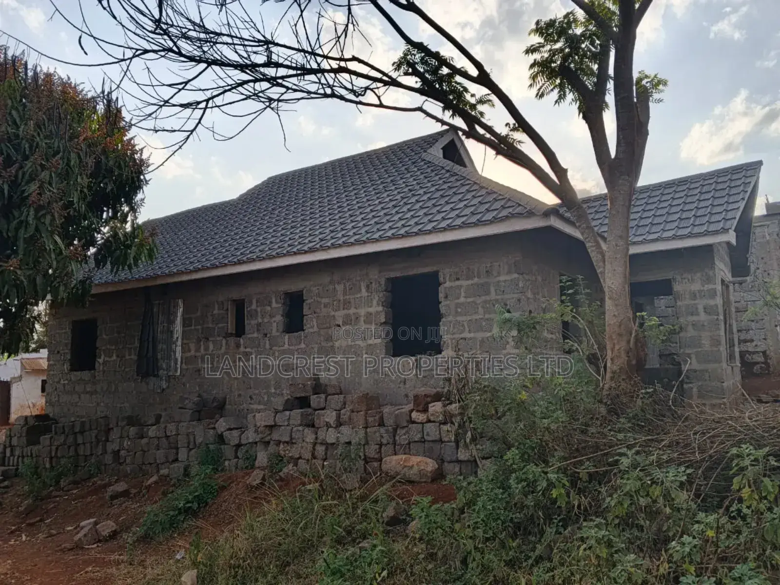 1/8 Acre for Sale in Makenji Near Tarmac in Gatanga