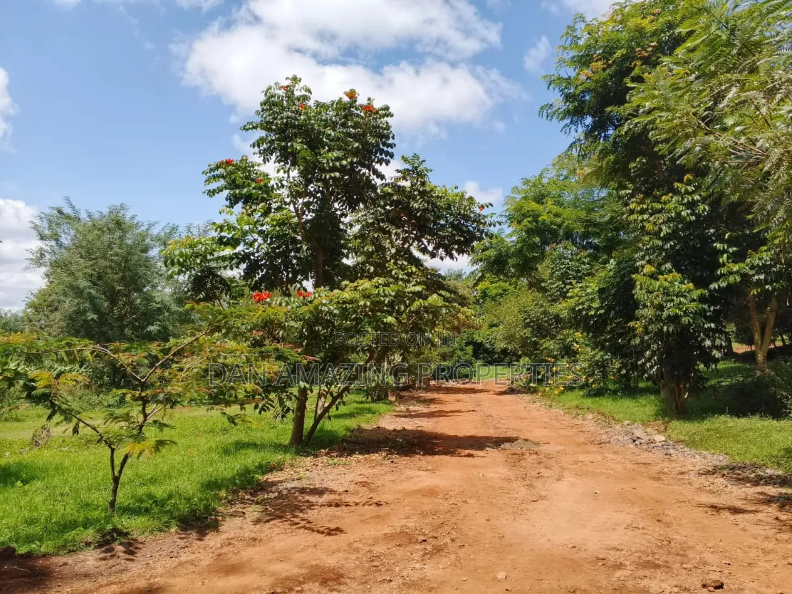 54 Fully Serviced Quater Acre Plots for Sale in Ngong Masai Road in Ngong
