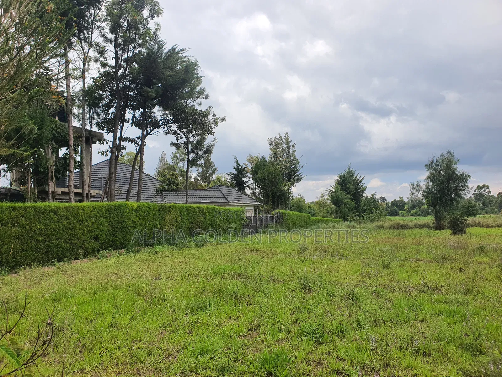 2 Acres in Nanyuki [ Kwahuku ] in Nanyuki