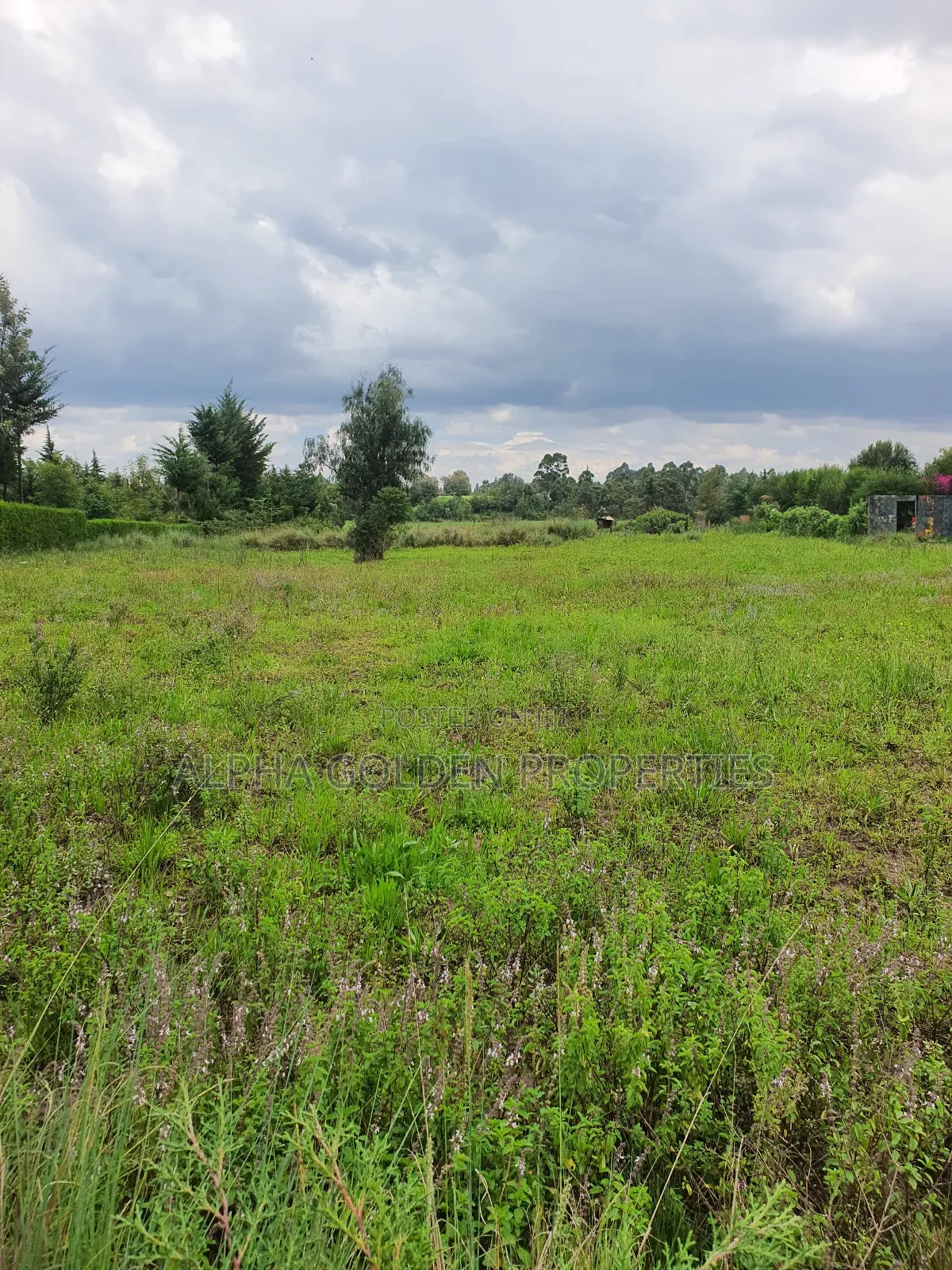2 Acres in Nanyuki [ Kwahuku ] in Nanyuki