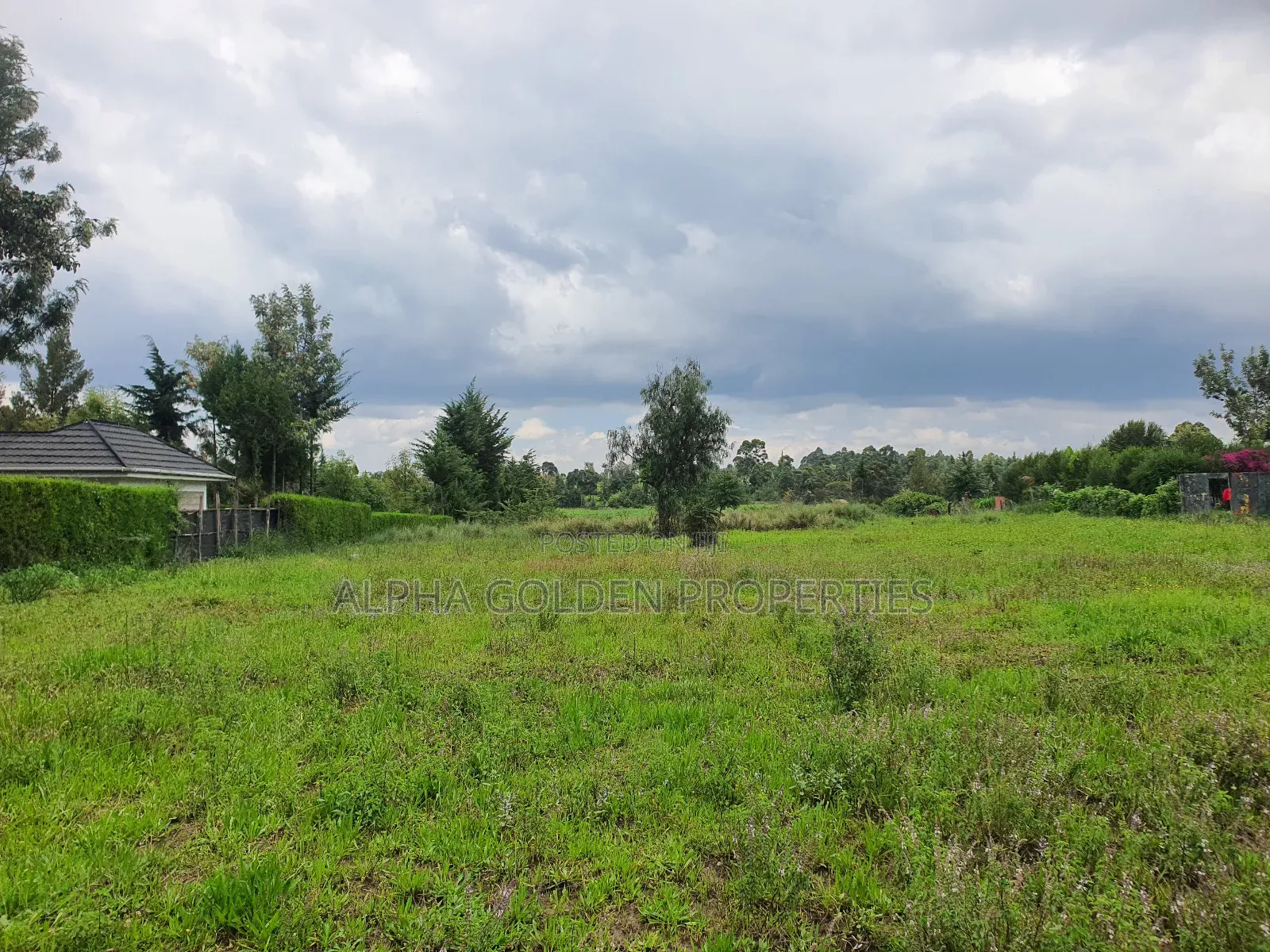 2 Acres in Nanyuki [ Kwahuku ] in Nanyuki