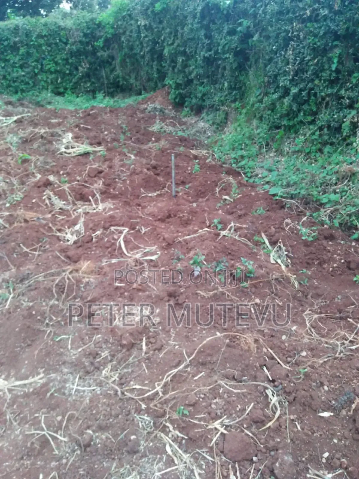 Land for Sale in Ngong Town in Oluulua