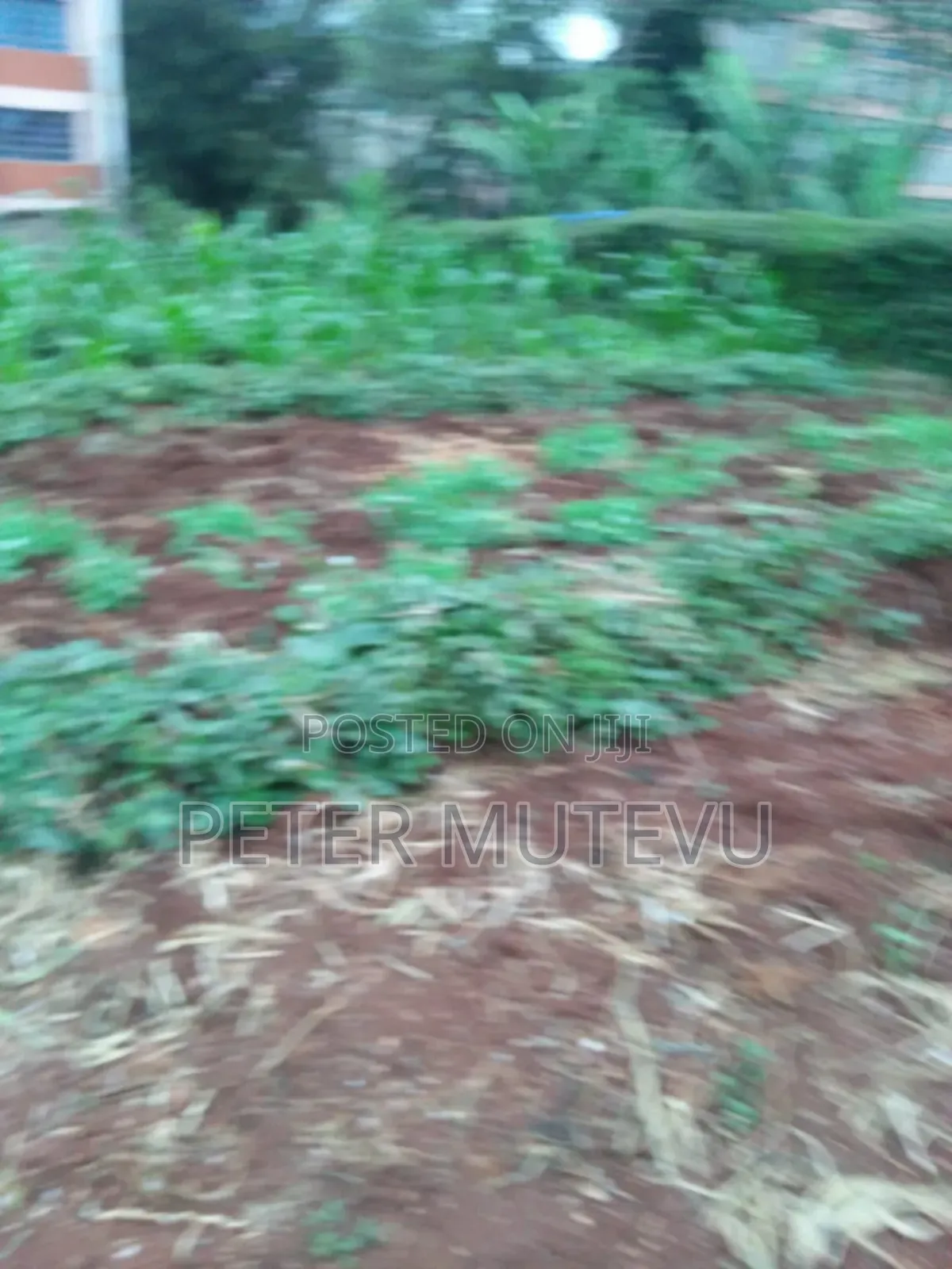 Land for Sale in Ngong Town in Oluulua