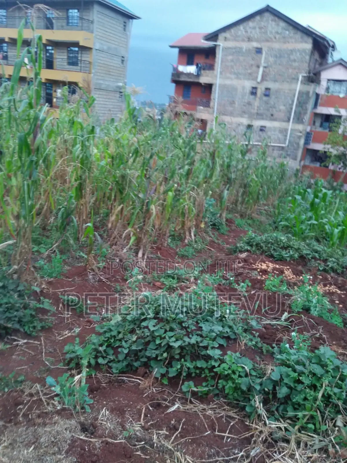 Land for Sale in Ngong Town in Oluulua