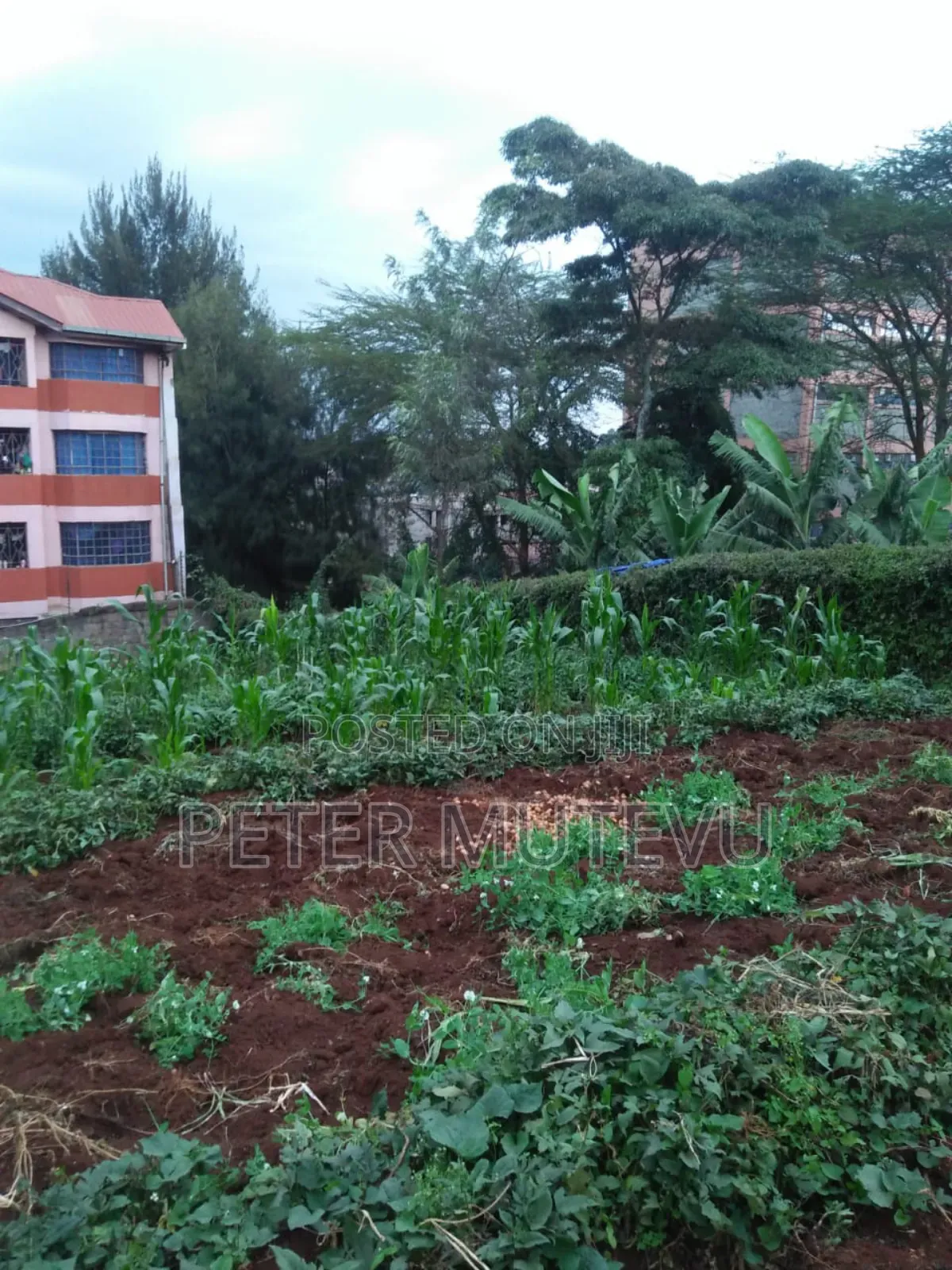 Land for Sale in Ngong Town in Oluulua