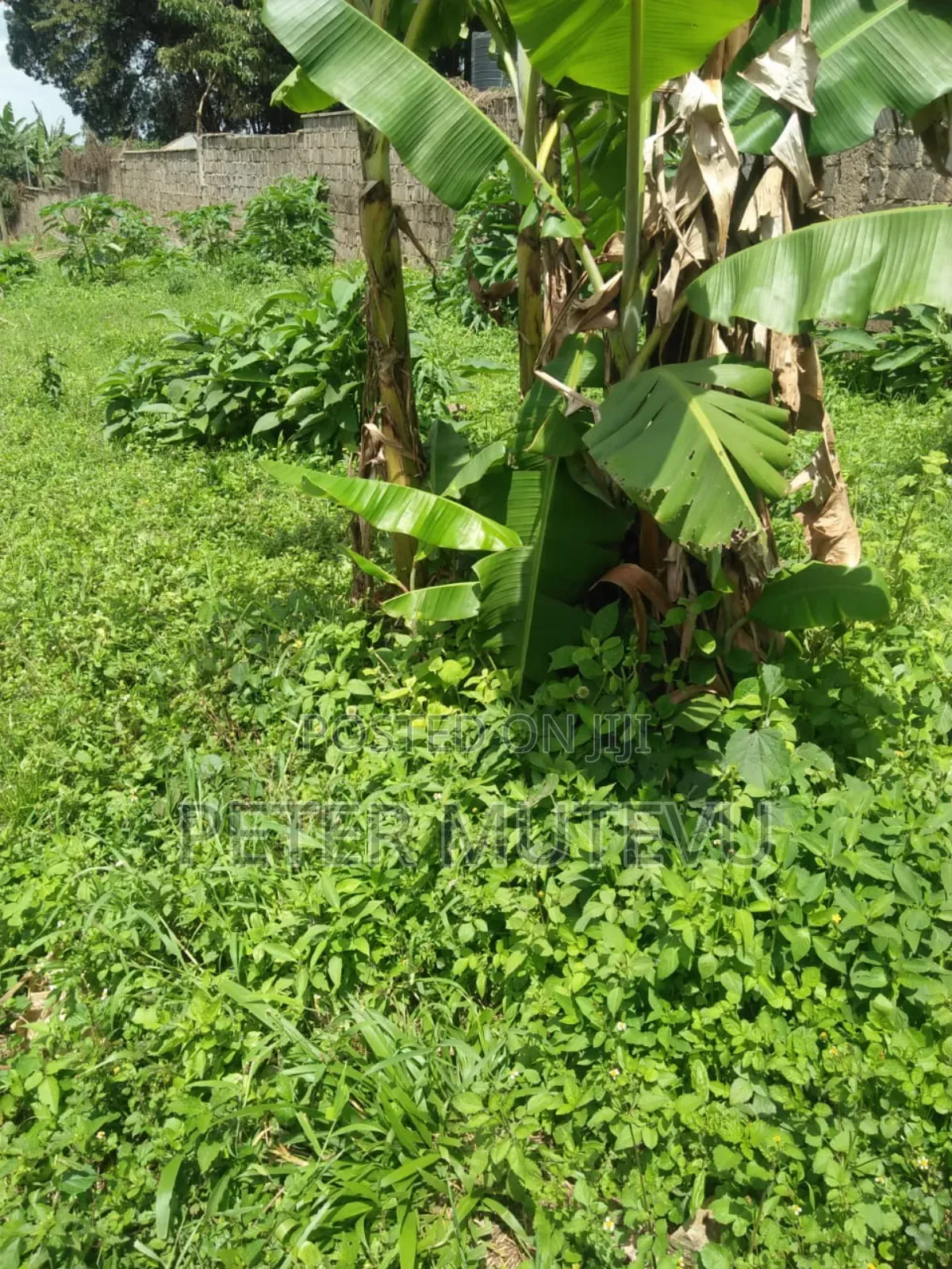 10 Acre Land for Sale in Karen in Karen