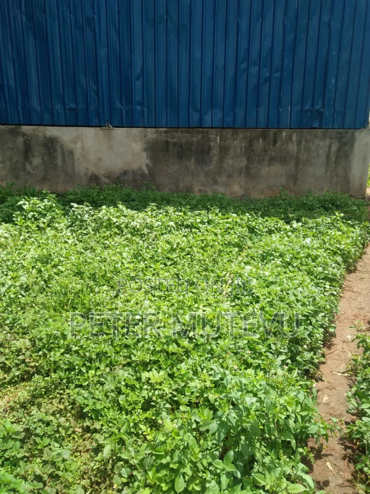 10 Acre Land for Sale in Karen in Karen