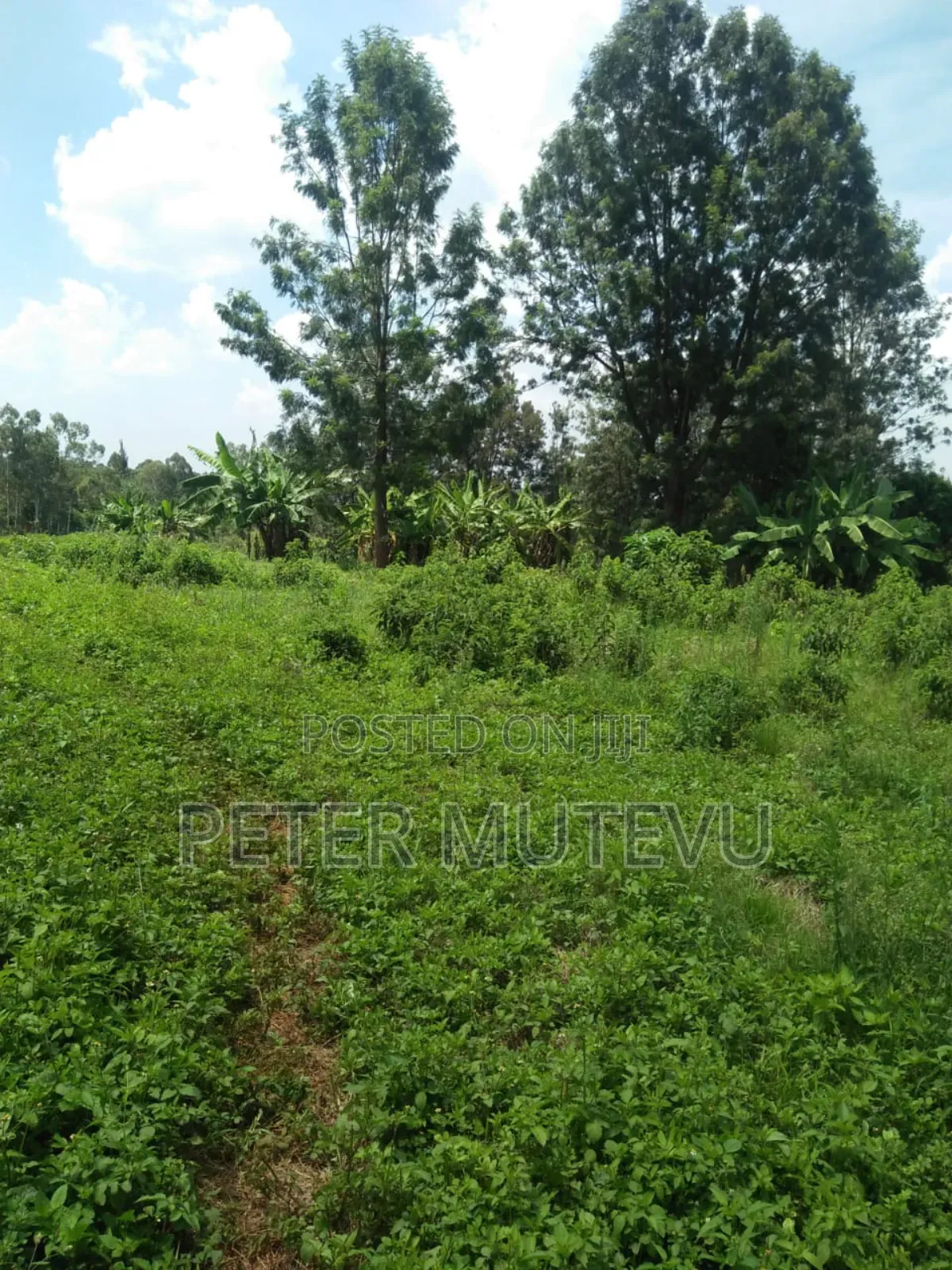 10 Acre Land for Sale in Karen in Karen