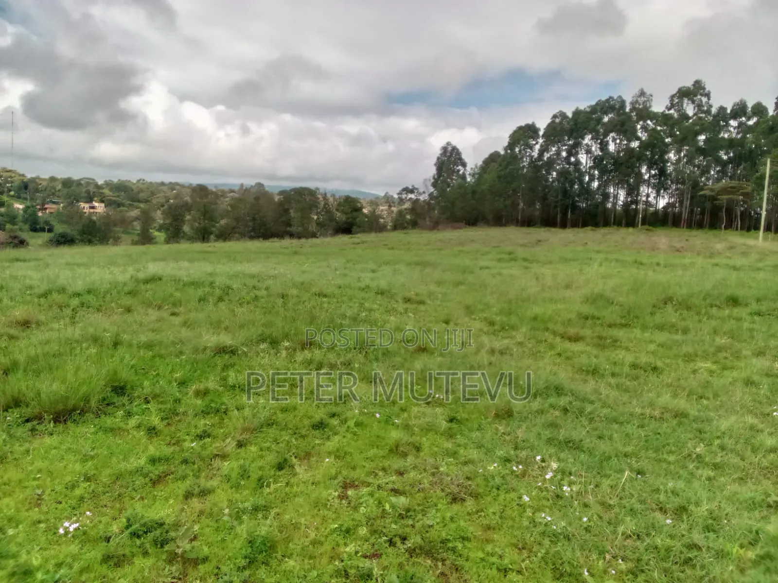 13.5 Acre Land for Sale in Karen in Karen