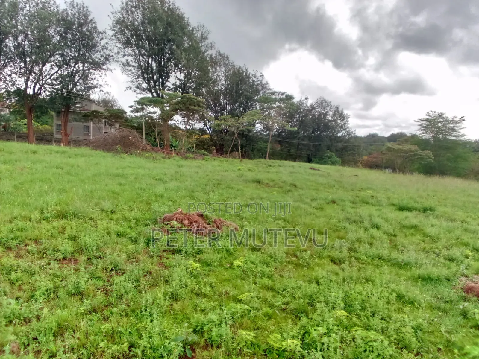 13.5 Acre Land for Sale in Karen in Karen