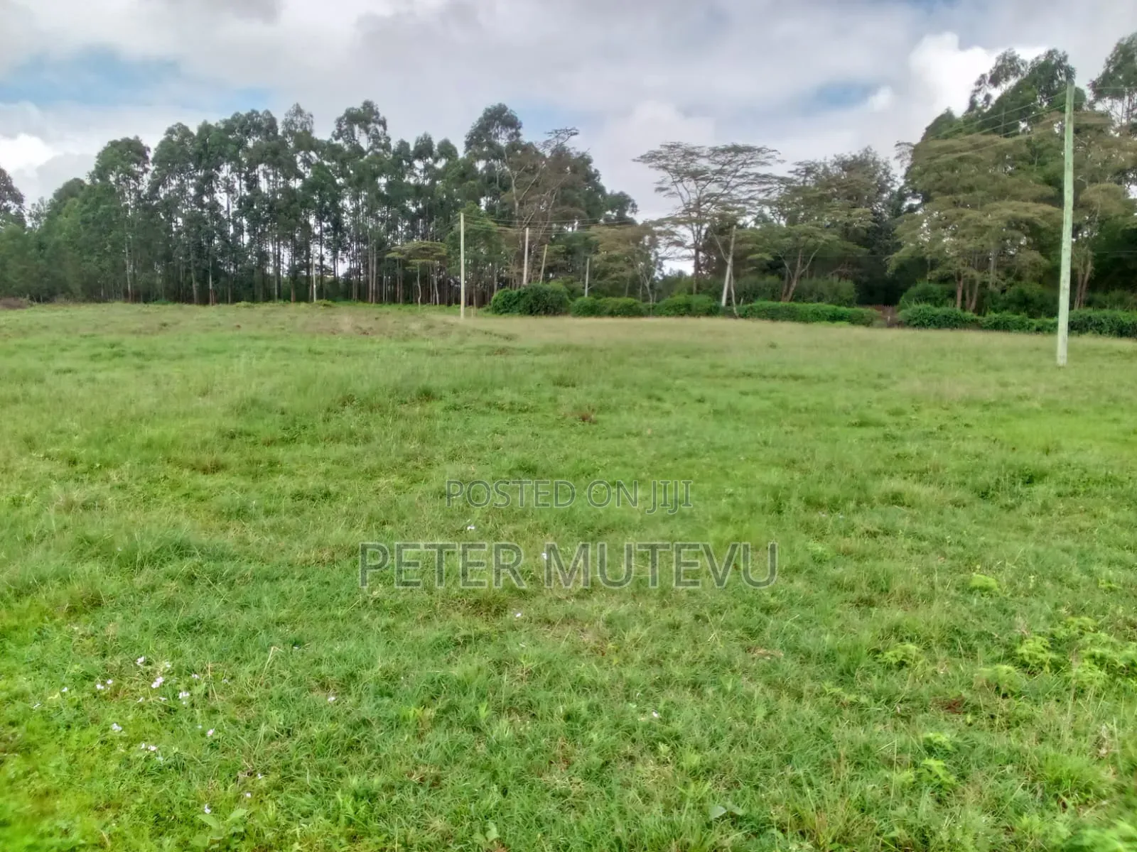 13.5 Acre Land for Sale in Karen in Karen