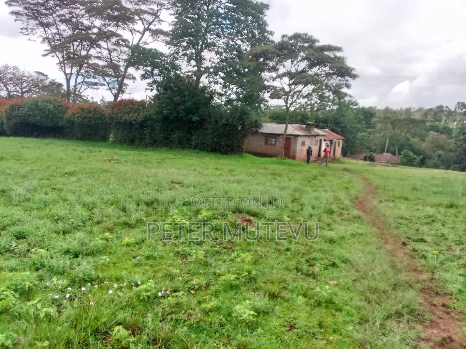 13.5 Acre Land for Sale in Karen in Karen