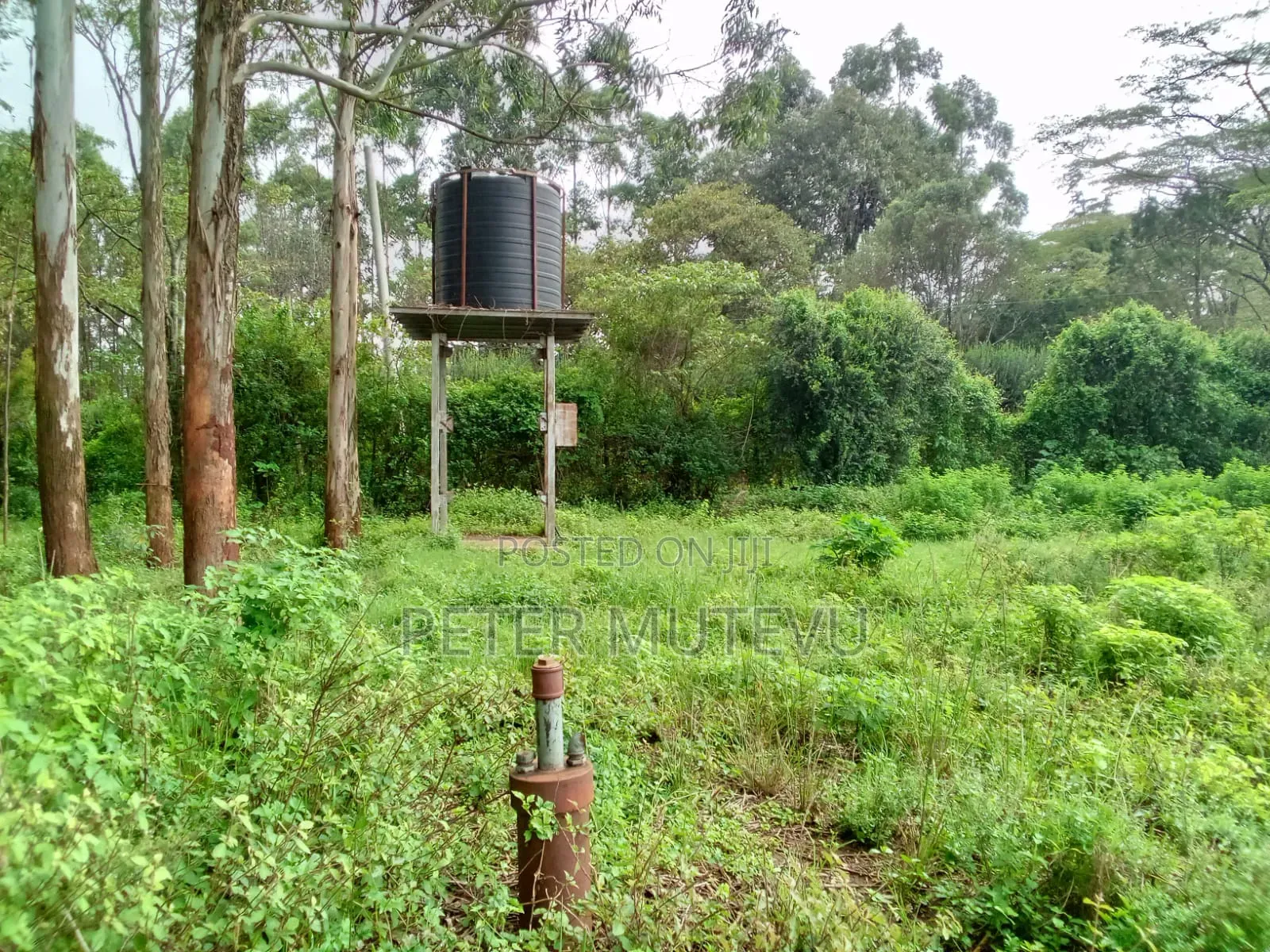 13.5 Acre Land for Sale in Karen in Karen