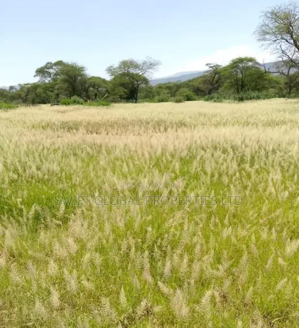 For Sale: 9,000 Acres of Prime Undeveloped Land in Kajiado in Magadi
