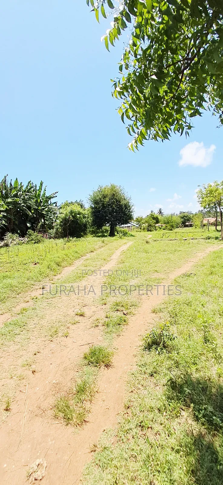 Plots for Sale Majengo Kikambala in Kikambala
