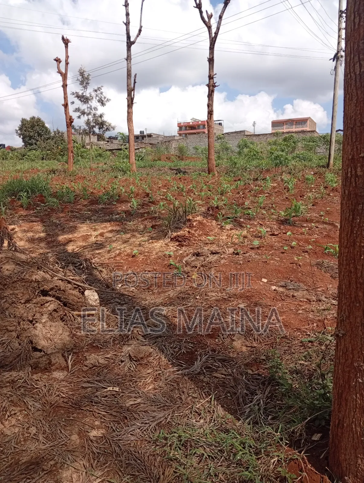 Plot for Sale in Ruiru in Kwa Kairu