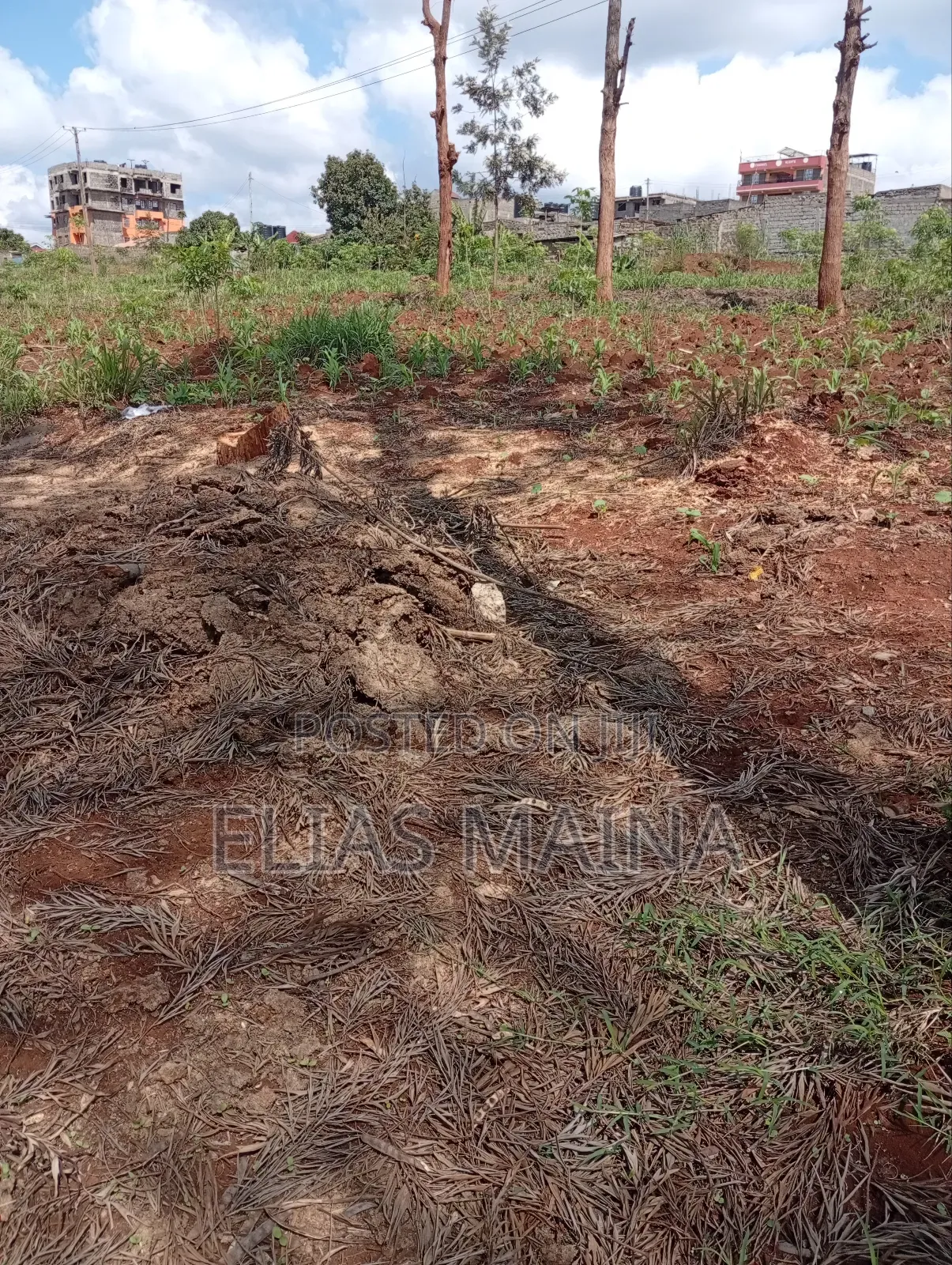 Plot for Sale in Ruiru in Kwa Kairu