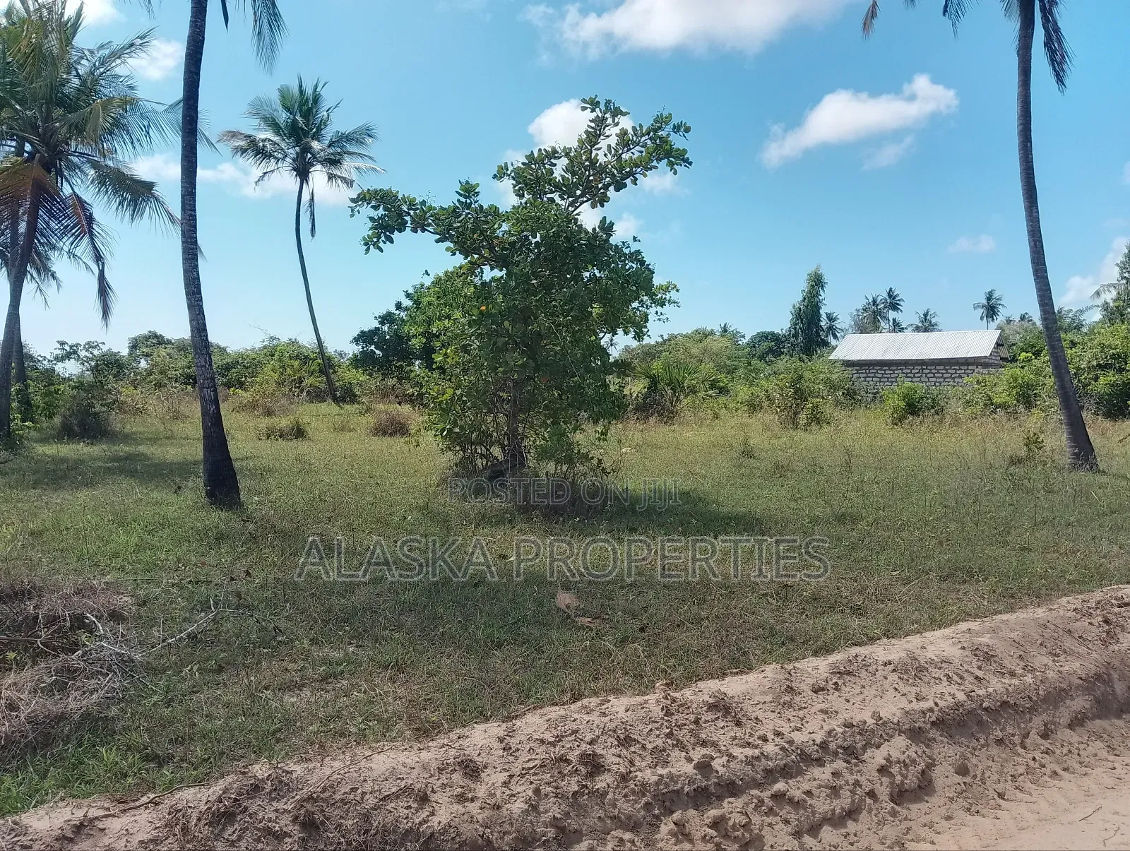 1/8 Prime Plot for Sale in Dongo Kundu Bypass in Likoni