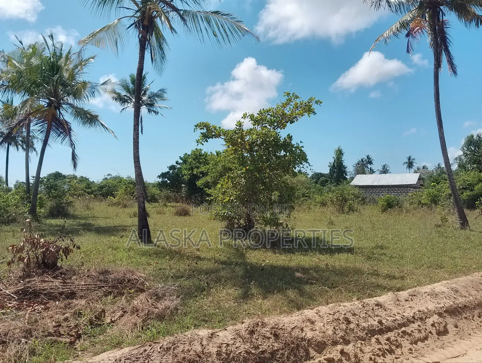 1/8 Prime Plot for Sale in Dongo Kundu Bypass in Likoni