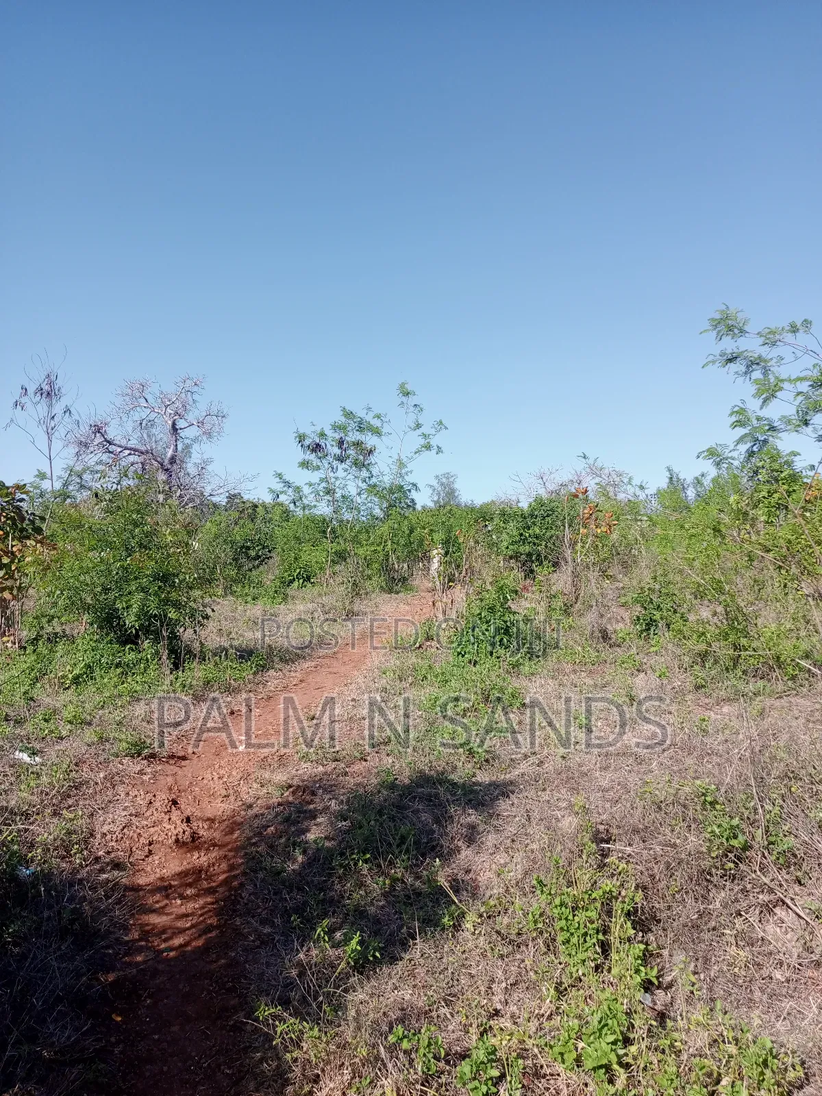 1/2 Acre on Sale Behind Manyatta Restaurant in Diani! in Diani