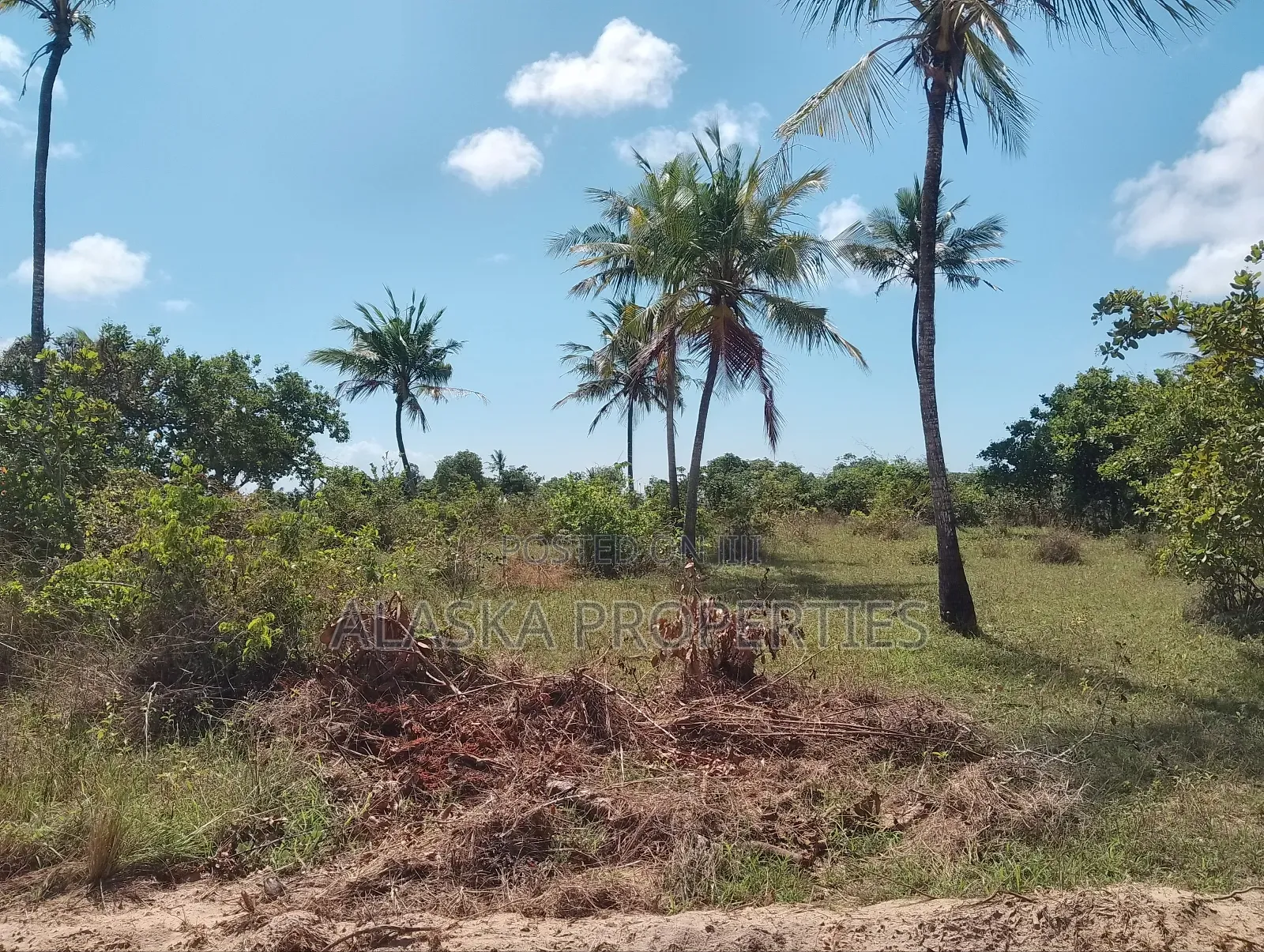 1/8 Prime Commercial Plot for Sale at Dongo Kundu Bypass in Likoni