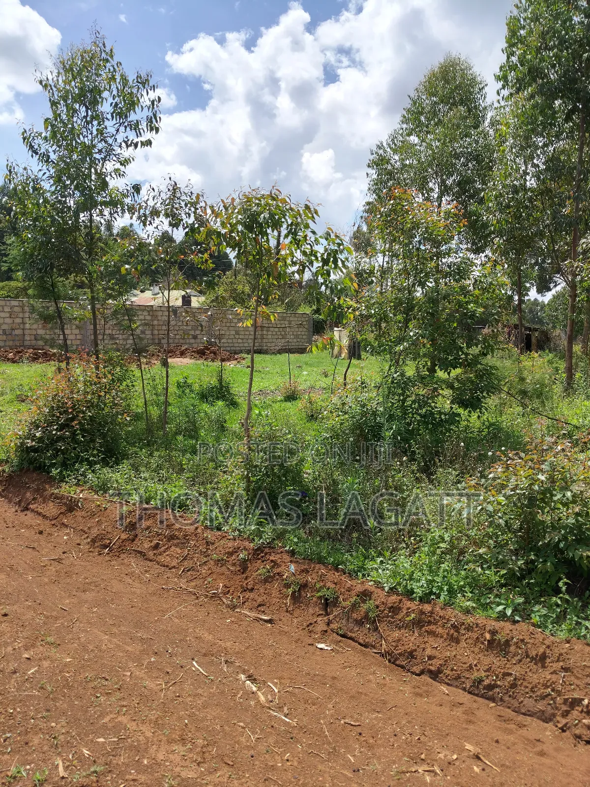 Prime 1⁄8 Acre Residential Plots on Sale in Eldoret Blossom in Eldoret CBD