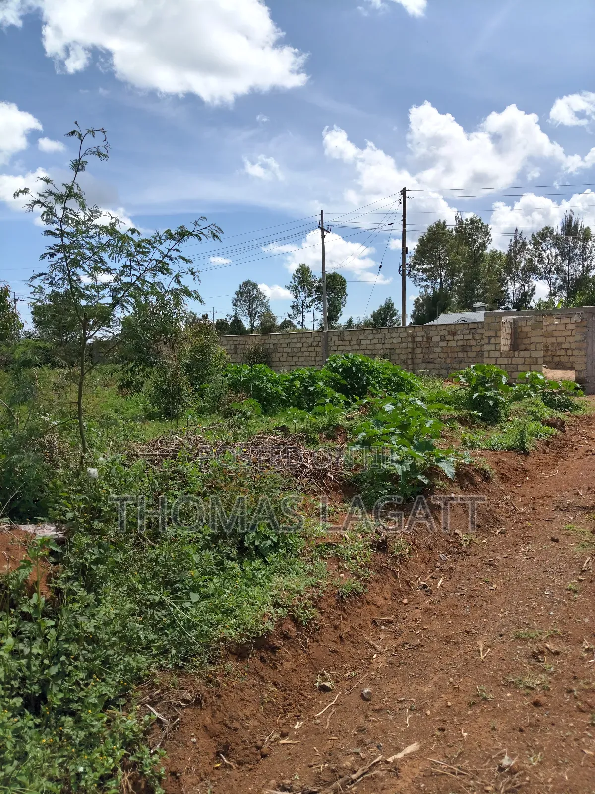 Prime 1⁄8 Acre Residential Plots on Sale in Eldoret Blossom in Eldoret CBD