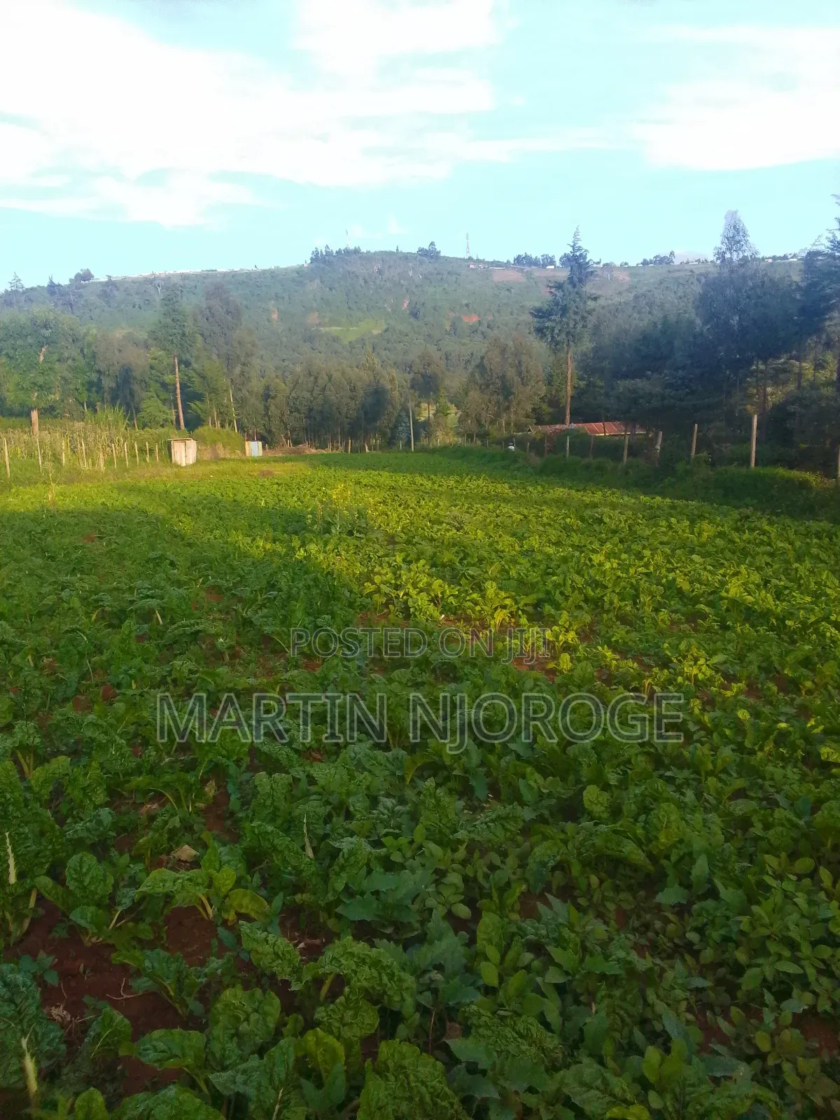 1.25 Acres Escarpment in Lari/Kirenga