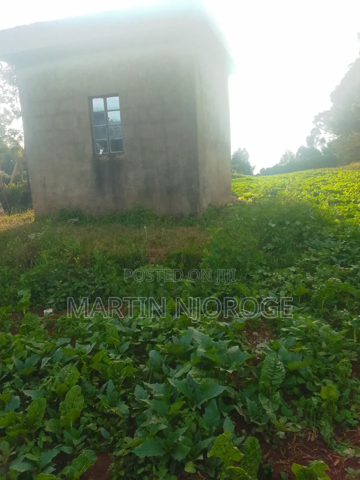 1.25 Acres Escarpment in Lari/Kirenga